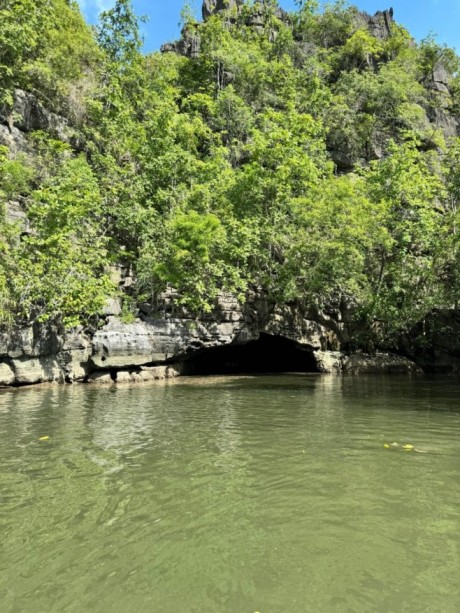 Private Mangrove Tour in Langkawi 3 Hours